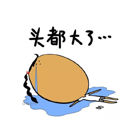 浒苔又来了？